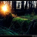 Když den se loučí