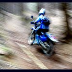 Zzzzuuuummmm