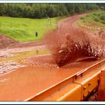 Endurista blátomilný v akci (do třetice)