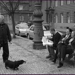 JEZEVĆÍKOVO SLIBNÉ ODPOLEDNE