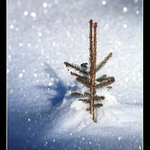 Ještě poslední chvilka v záři světel