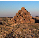 Sláma