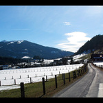 Alpy
