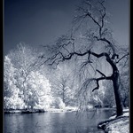 na břehu řeky Svratky