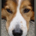 Neruš mne, přemýšlím ...