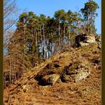 ...jarní odpoledne...