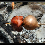 ...aby vam sliny tiekli...