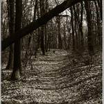 vsetko pada, vsetko sa meni II.