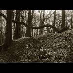 vsetko pada, vsetko sa meni III.