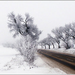 Ked vsetko mrzlo ...