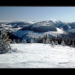 Co je české, to je hezké ...