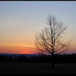 Dukovanská havárie