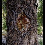 Naha kominice pod podnikovou sprchou...