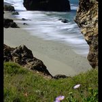 Great meeting sea and land - Big Sur (Part IV)