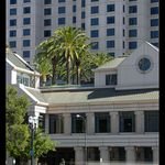 I na strese rostou palmy.... (San Jose)