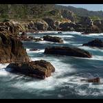Point Lobos