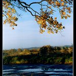 Výlov proveden! II.