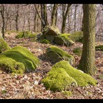 Mach nas skalach ...