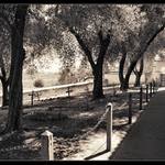 Mniši to zalomili....