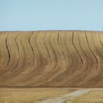 Vesnická Tsunami II