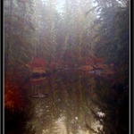 Salamander Creek, Aljaska