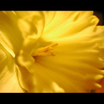 Trochu toho jara, do té pochmurné nálady