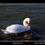 Večerná očista ...