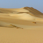 Dune
