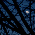 Mooonitoring Da Sista Earth!