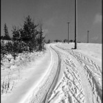 The Telegraph Road...