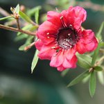 Botanická zahrada LB - 4