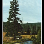 Malá Jizerská louka