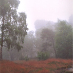 Tisá