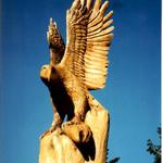 zleteli orly z Tatier.....