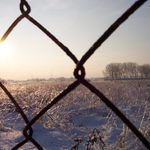 Zima za plotom
