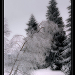 Šumava