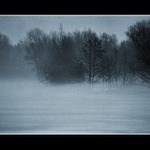 Mlhavý den ...