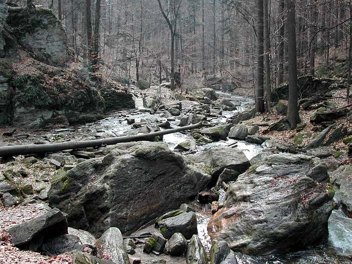 Pohádkový les - Rešovské vodopády III.