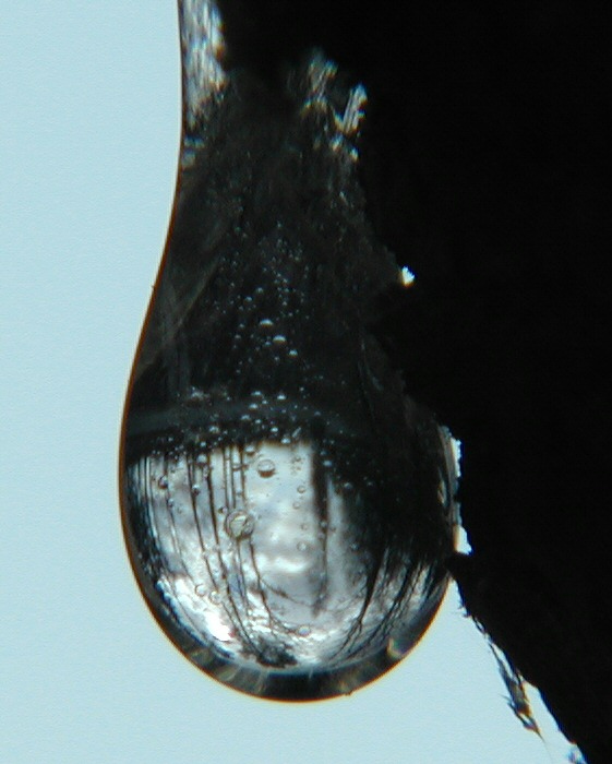 slza 2
