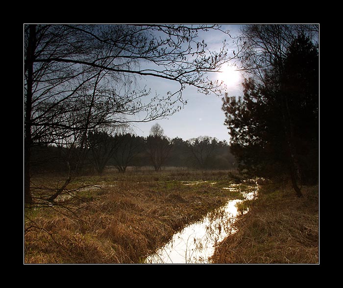 větvofka II.