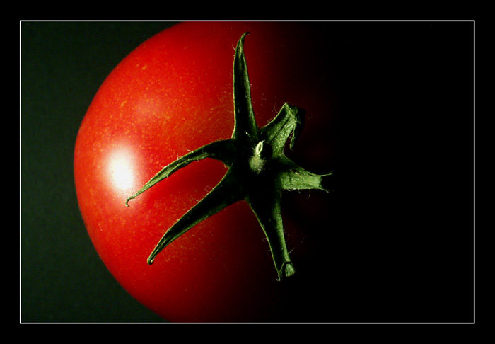phoTOMATO