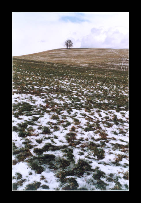 Samotář II.