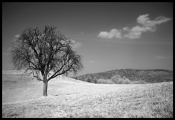 Neprebudena priroda.