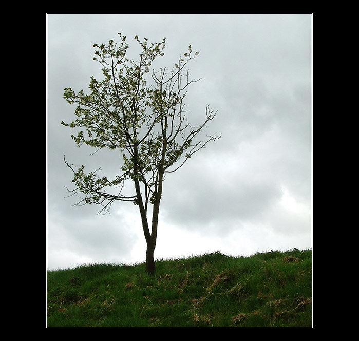 ...před bouřkou...