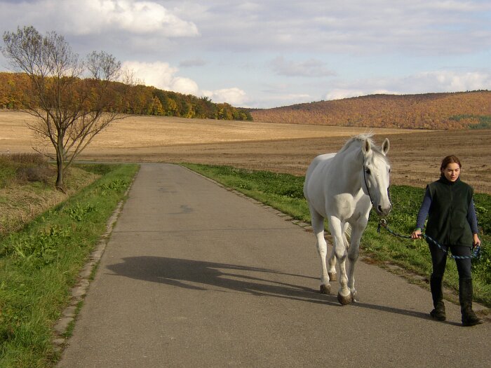 Podzimni