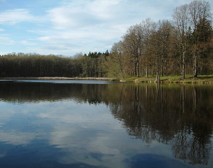 Bezejmenný