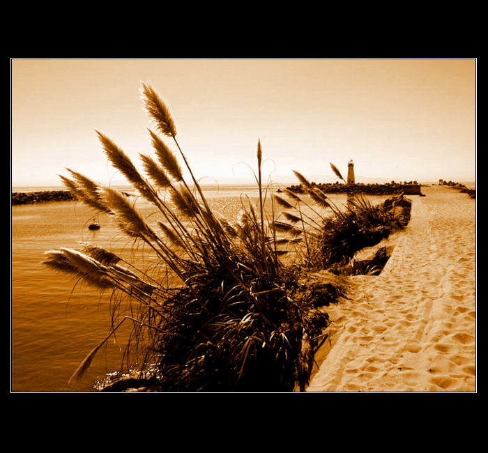 ..: breakwater :..