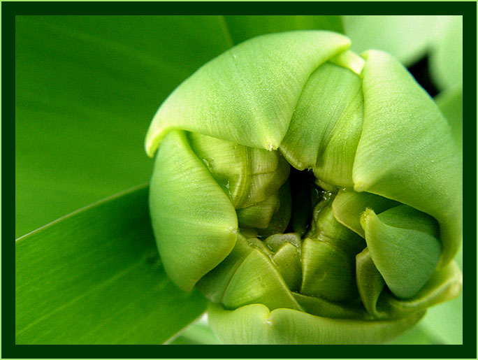 Na rozloucenou......