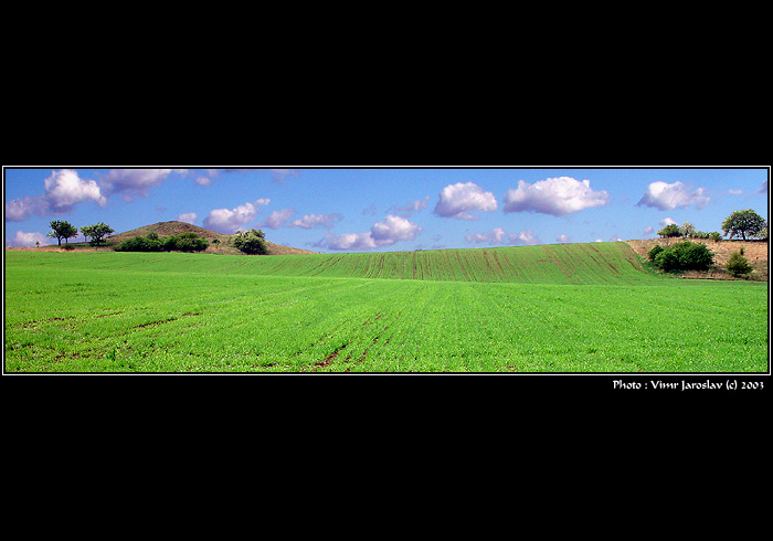 - JAKO V P..................