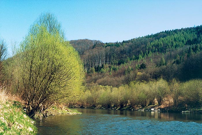 Jarní
